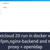 Nextcloud 20 run in docker with php-fpm,nginx-backend and nginx proxy + openldap